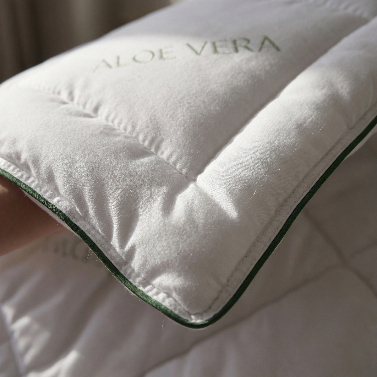 Aloe Vera dyne