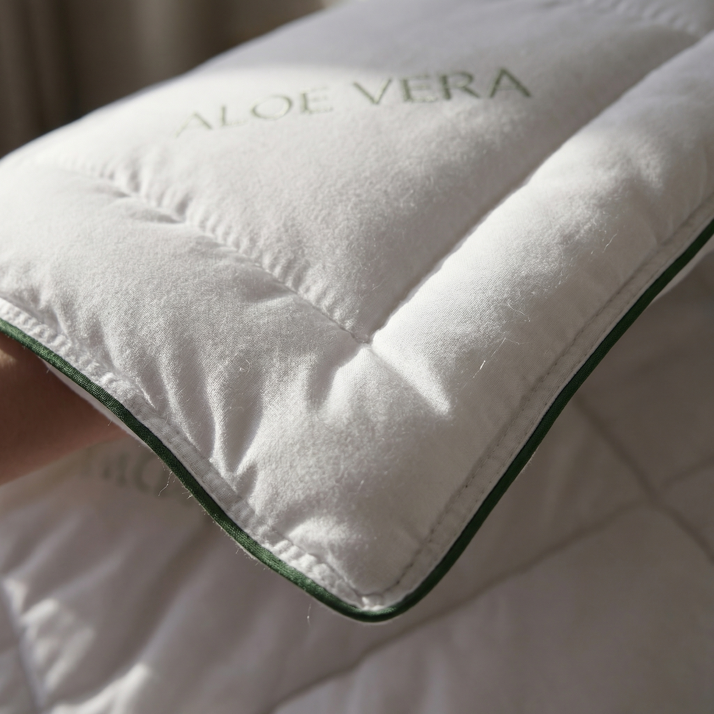 Aloe Vera dyne